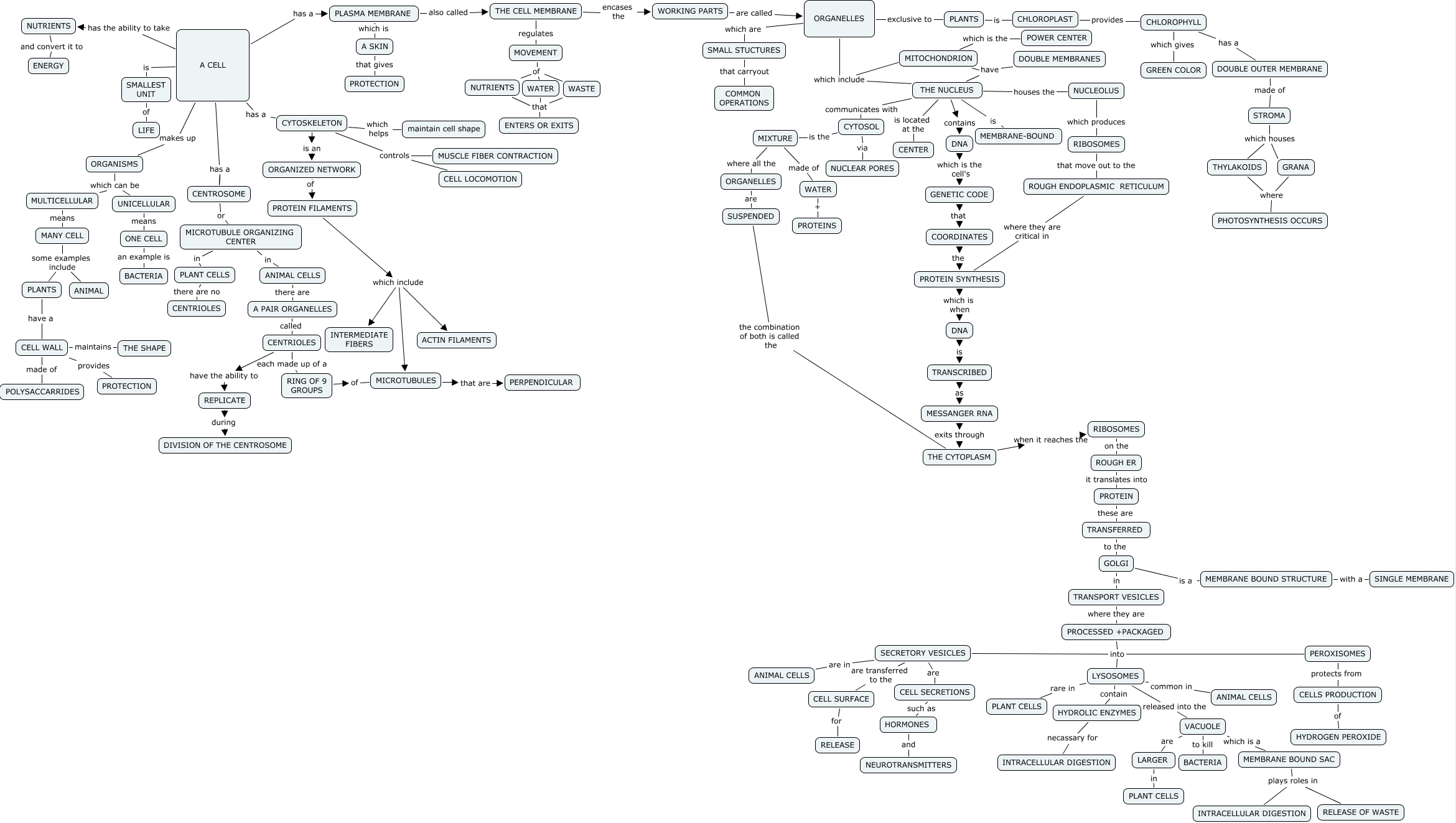 theres-a-cell-map-what-does-the-cell-consist-of